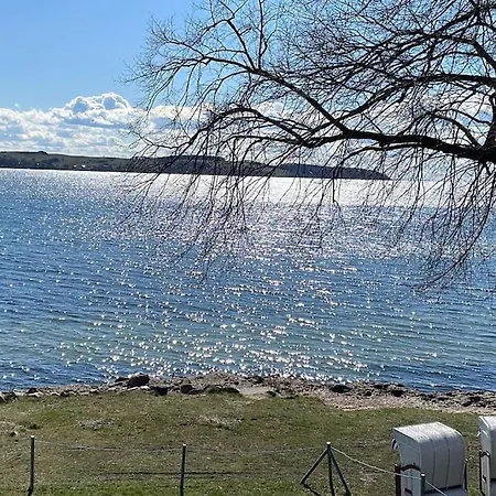 Traumblick Rugen- Gemutliches Mit Traumhaftem Meerblick, Kamin, Privater Sauna Und Schwimmbadnutzung アパート Alt Reddevitz